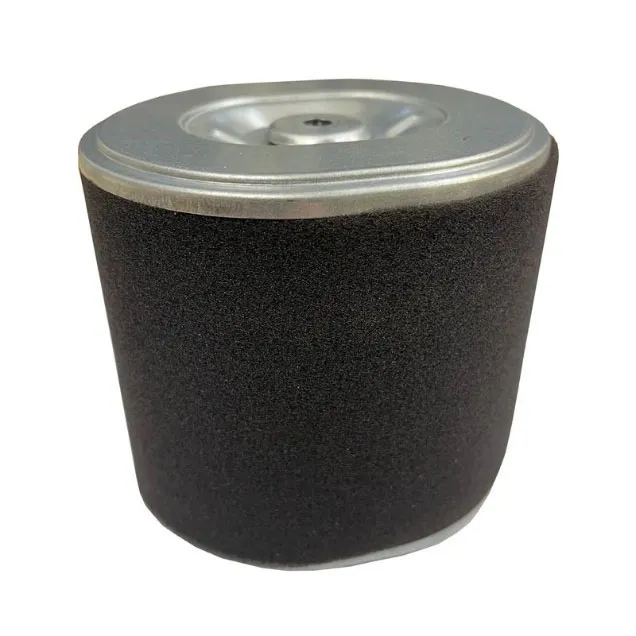 Order a A quality replacement air filter, designed for use with the Titan Pro TP420-15H 420cc petrol engine.